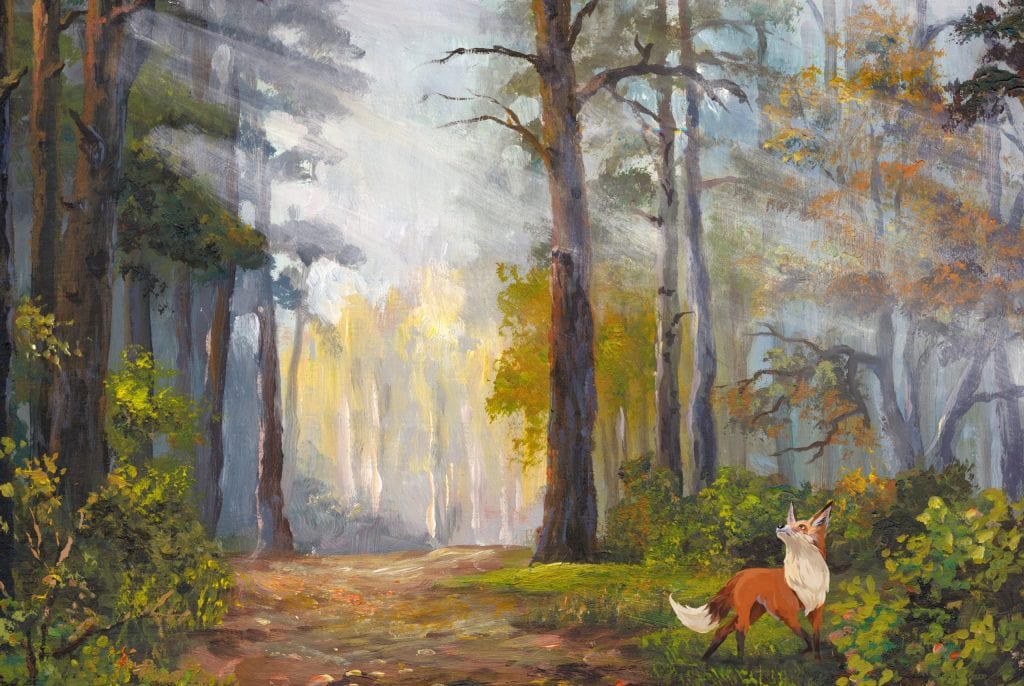 Fox in forest