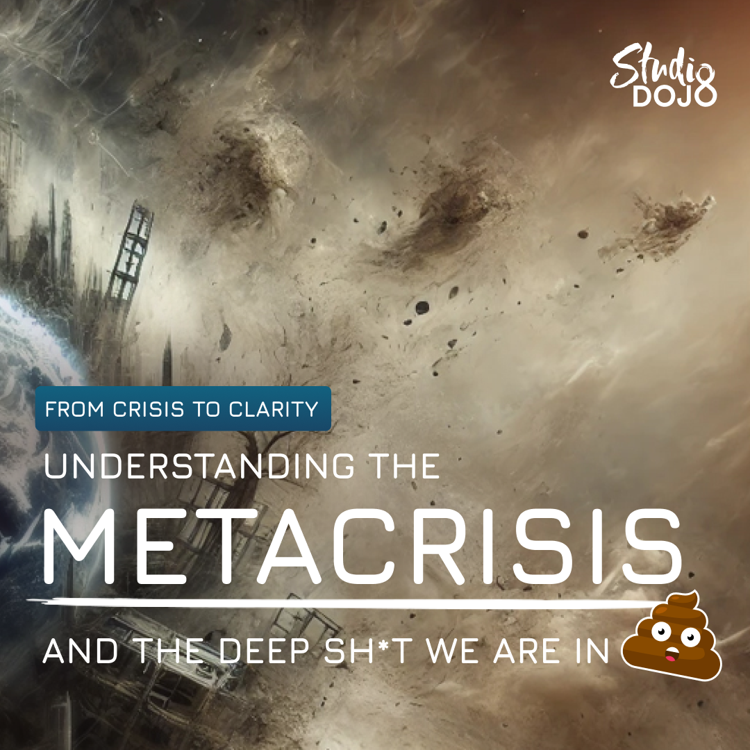From Crisis to Clarity: Understanding Metacrisis and the deep sh*t we are in